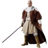 Star Wars Mace Windu (the Clone Wars) the Black Series 6" op kaart 50th anniversary exclusive