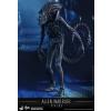 Hot Toys Alien Warrior (Aliens) MMS354 in doos