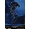 Hot Toys Alien Warrior (Aliens) MMS354 in doos