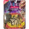 Warrior Alien & Renegade Predator Aliens vs. Predator 2-pack op kaart