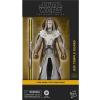 Star Wars Jedi temple guard (the Clone Wars) the Black Series 6" in doos