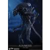 Hot Toys Alien Warrior (Aliens) MMS354 in doos