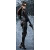 DC Comics Catwoman (the Dark Knight Rises) S.H. Figuarts Action Figure Bandai (15 cm) exclusive
