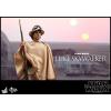 Hot Toys Luke Skywalker Star Wars a New Hope MMS297 in doos