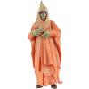 Star Wars ROTS Passel Argente (Seperatist leader) MOC