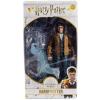 Harry Potter (Harry Potter and the Deathly Hallows part 2) in doos McFarlane Toys
