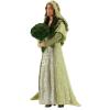 Star Wars Saga Padmé Amidala (secret ceremony) incompleet