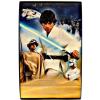 Hot Toys Luke Skywalker Star Wars a New Hope MMS297 in doos