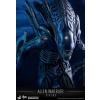 Hot Toys Alien Warrior (Aliens) MMS354 in doos