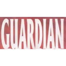 Guardian Angel (Image Comics)